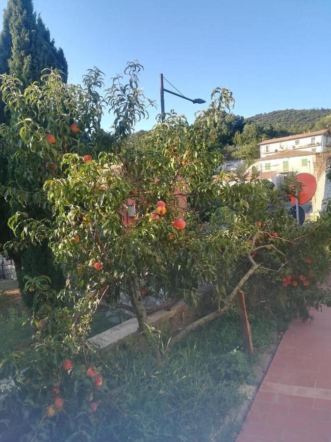 La Vecchia Locanda 카스텔누오보디발디세시나 외부 사진